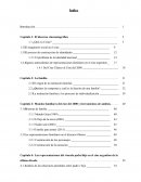 Indice de tesis - El discurso cinematográfico