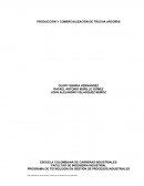 PRODUCCIÓN Y COMERCIALIZACIÓN DE TRUCHA ARCOÍRIS