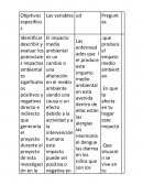 Identificar describir y evaluar los potenciales impactos ambientales