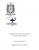 Clonacion humana, una perspectiva general