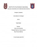Hongos y líquenes - biología