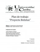 Plan de trabajo “Proyecto Bolsitas”