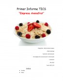 Primer Informe TICS “Empresa Avenafrut”