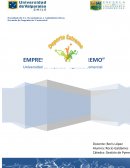 Proyectos de venta de ropa deportiva.