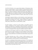 CASO EMPRESA CULTIVOS SAYONARA