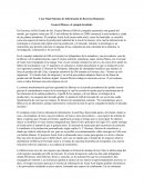 General Motors, el ejemplo brasileño Sistemas de Información