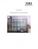 Laboratorio Nº1 Pérdida de Carga en un sistema de distribución