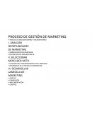 PROCESO DE GESTIÓN DE MARKETING