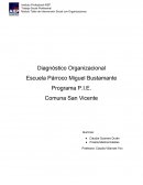 Diagnóstico Organizacional Comuna San Vicente