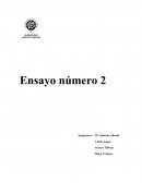 Ensayo desarrollo de conciencia