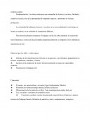 Proyecto - Creamos cuentos