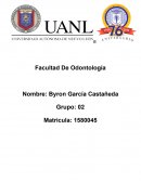 Ensayo Facultad De Odontología