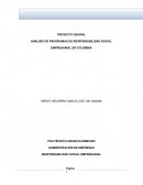 ANALISIS DE PROGRAMAS DE RESPONSABILIDAD SOCIAL