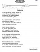 Lenguaje y Comunicación “Métrica de un poema”