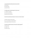 Los pueblos originarios de Chile