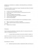 REPORTE DE AUDITORÍA DE LA EMPRESA “SEGURIDAD PRIVADA GINTHER DE OCCIDENTE”.