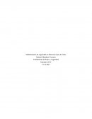 Modelamiento de seguridad en diferentes tipos de redes