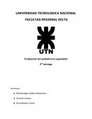 Produccion Poliestireno Expandido