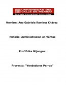 Vendedores perros es una metodología que ayuda a revelar y capitalizar tus puntos fuertes
