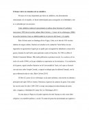 El honor sobre la armadura de un caballero