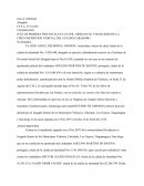 Modelo de recurso de amparo