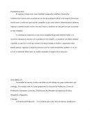 El siguiente trabajo tiene como finalidad comprender, analizar y desarrollar formulaciones básicas micro económicas con las que podemos realiza