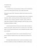 Derecho del Autor