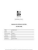 Manual de sistema de gestion.