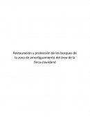 Restauración y protección de los bosques de la zona de amortiguamiento del área de la finca clovisland