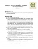 PLAN PSICOTERAPÉUTICO-EDUCATIVO