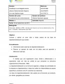 Fundamentos de la Administración Actividad