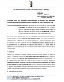 DEMANDA DE TENENCIA Y CUSTODIA DE MENOR