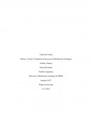 Misión y Visión, la Fundación del proceso de Planificación Estratégica