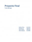 Mercadotecnia “Te de Moringa”