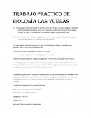Trabajo practico de biología las yungas