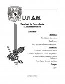 Resumen de auditoria interna