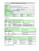 Modelo de Currículum Vitae