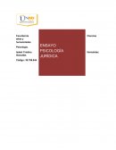 Ensayo psicologia JURIDICA