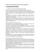 Práctica 3 fundamentos de dirección de empresas