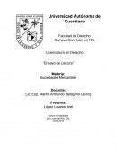 Ensayo: LA RECODIFICACIÓN SUSTANTIVA DEL DERECHO MERCANTIL