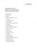 Fantasías Ilusión S.A. de C.V. Auditoria al 31 de Diciembre de 2012