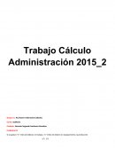 Trabajo Cálculo Administración 2015_2