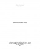 Ensayo de los delitos y de las penas