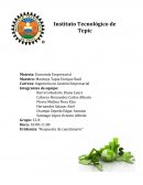 Productividad, atraso económico en México