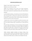 SEMINARIO DE HISTORIA DEL ARTE