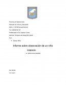 Observacion de juego en un niño