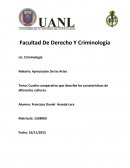 Cuadro comparativo que describe las características de diferentes culturas