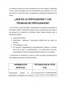 ¿Qué es la fertilización y las técnicas de fertilización?