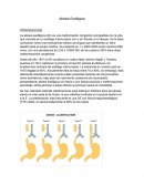 Complicaciones tardias atresia esofagica