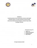 Proyecto venezolano Express